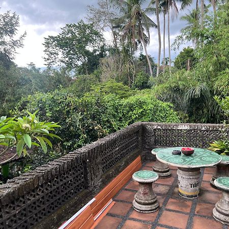 Rumah Kelinci Ubud  Exterior photo