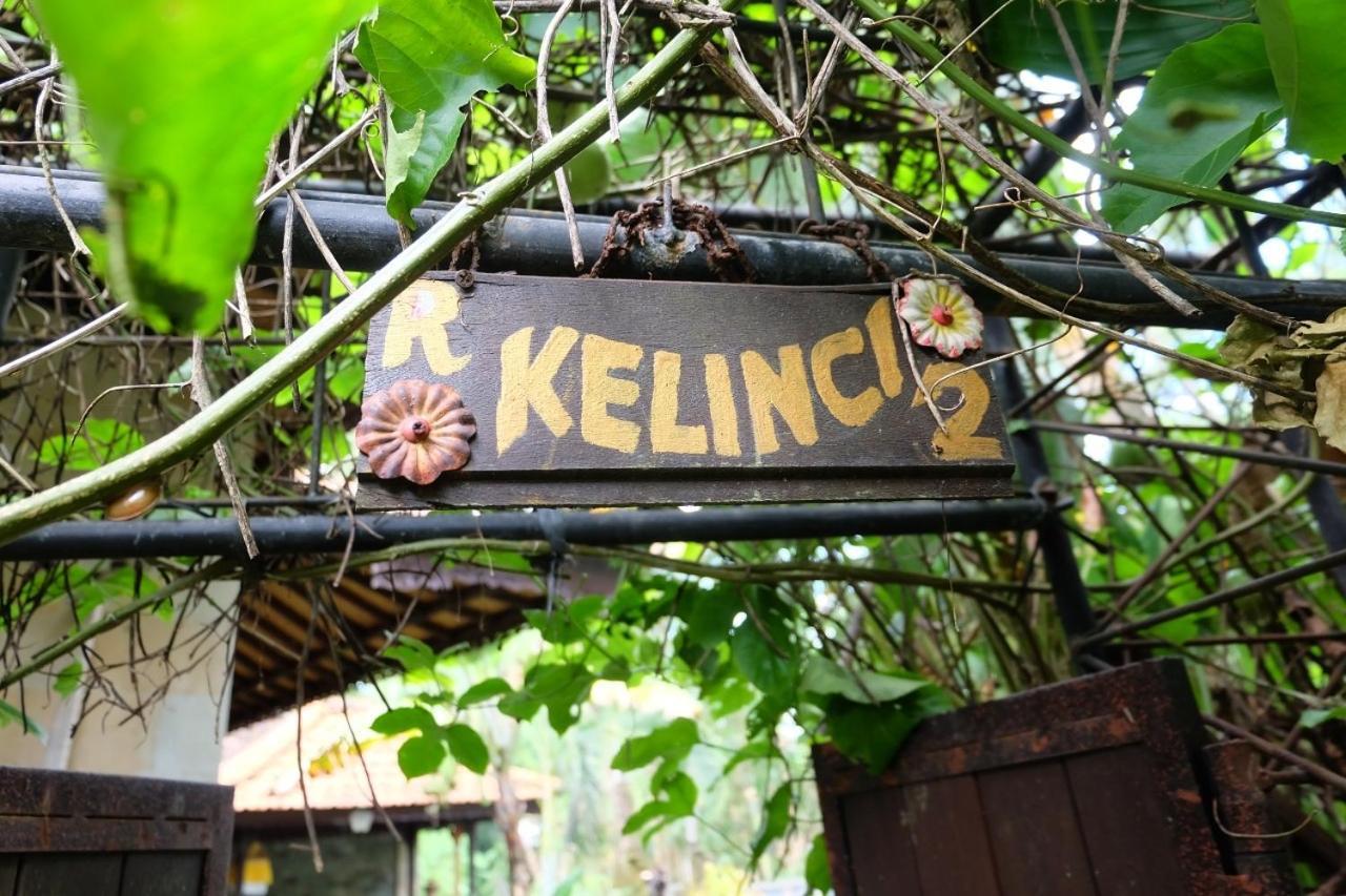 Rumah Kelinci Ubud  Exterior photo