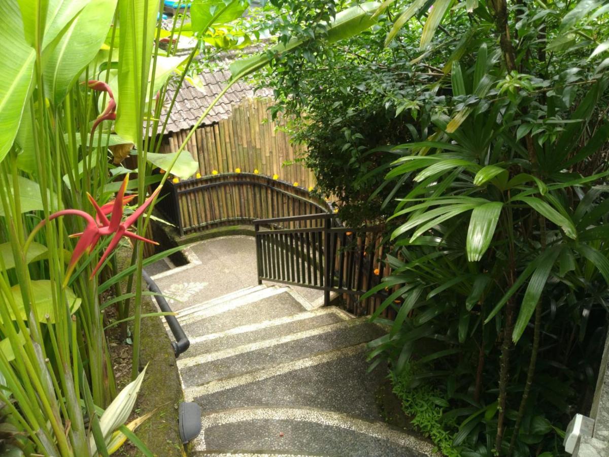 Rumah Kelinci Ubud  Exterior photo