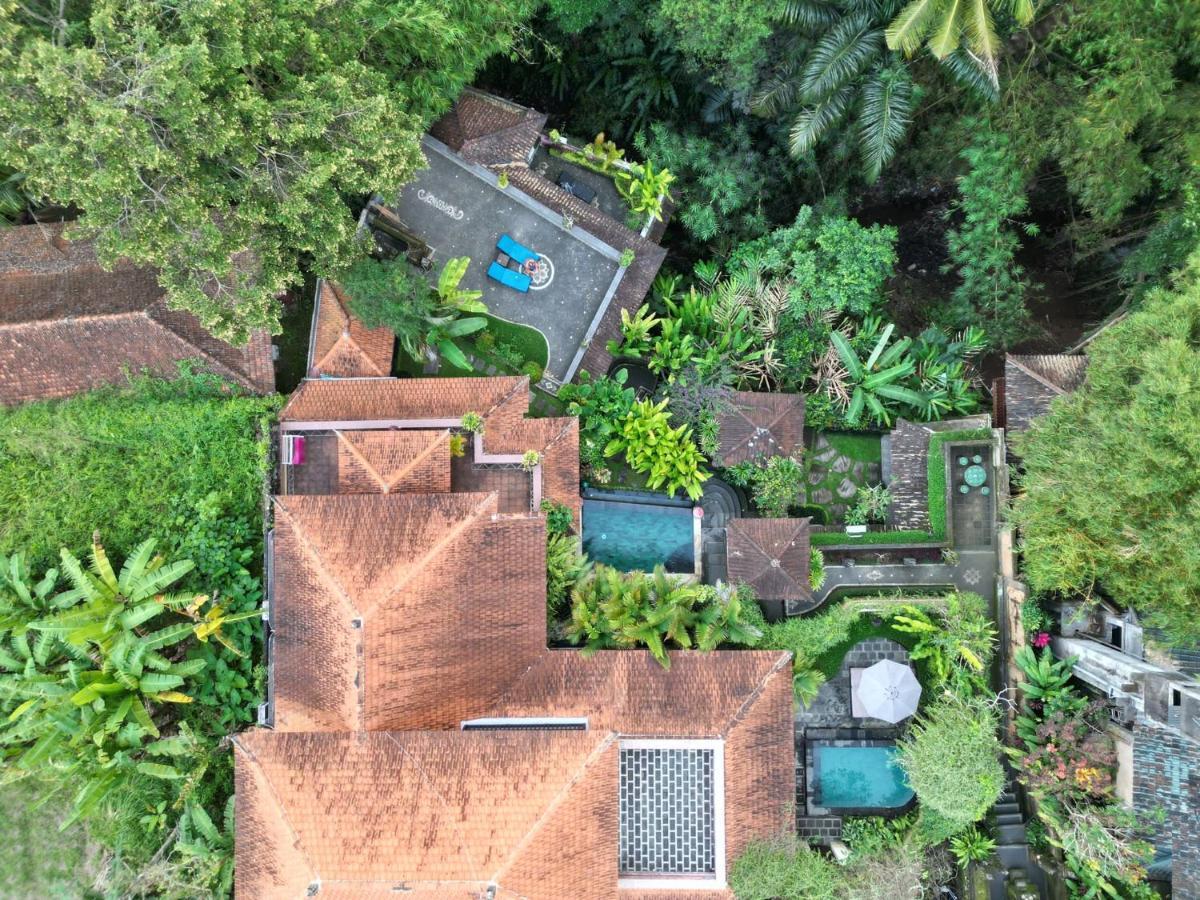 Rumah Kelinci Ubud  Exterior photo