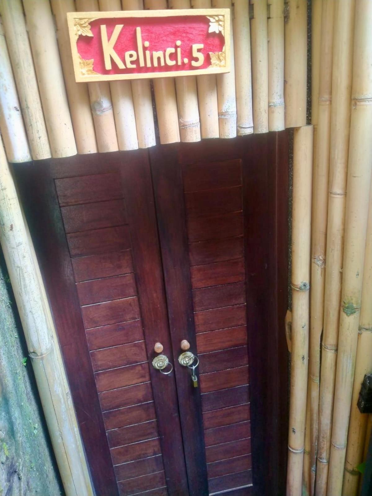 Rumah Kelinci Ubud  Exterior photo